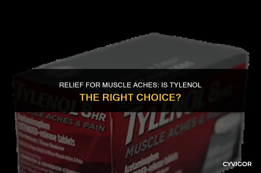 is tylenol good for muscle ache