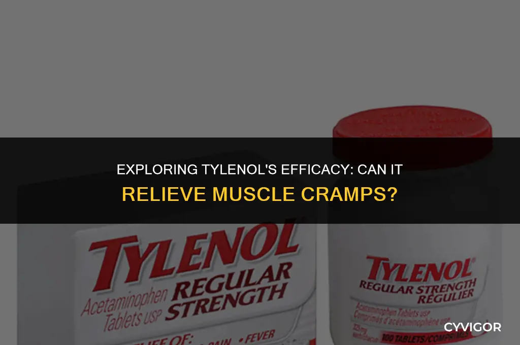 is tylenol good for muscle cramps