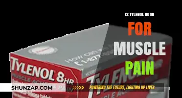 Is Tylenol Effective for Muscle Pain? A Comprehensive Guide