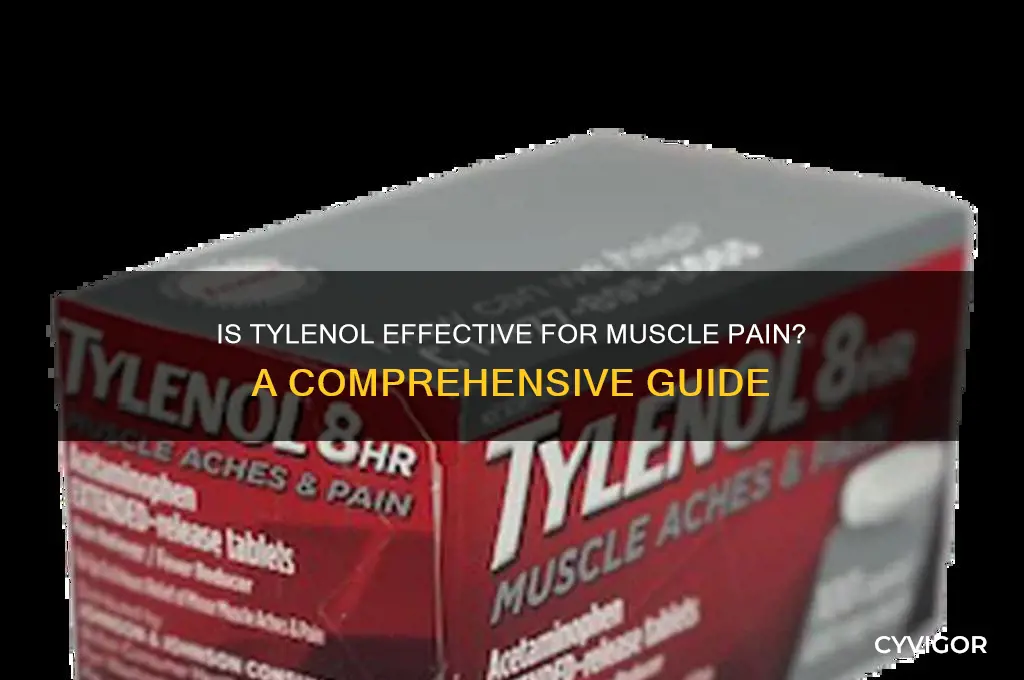 is tylenol good for muscle pain