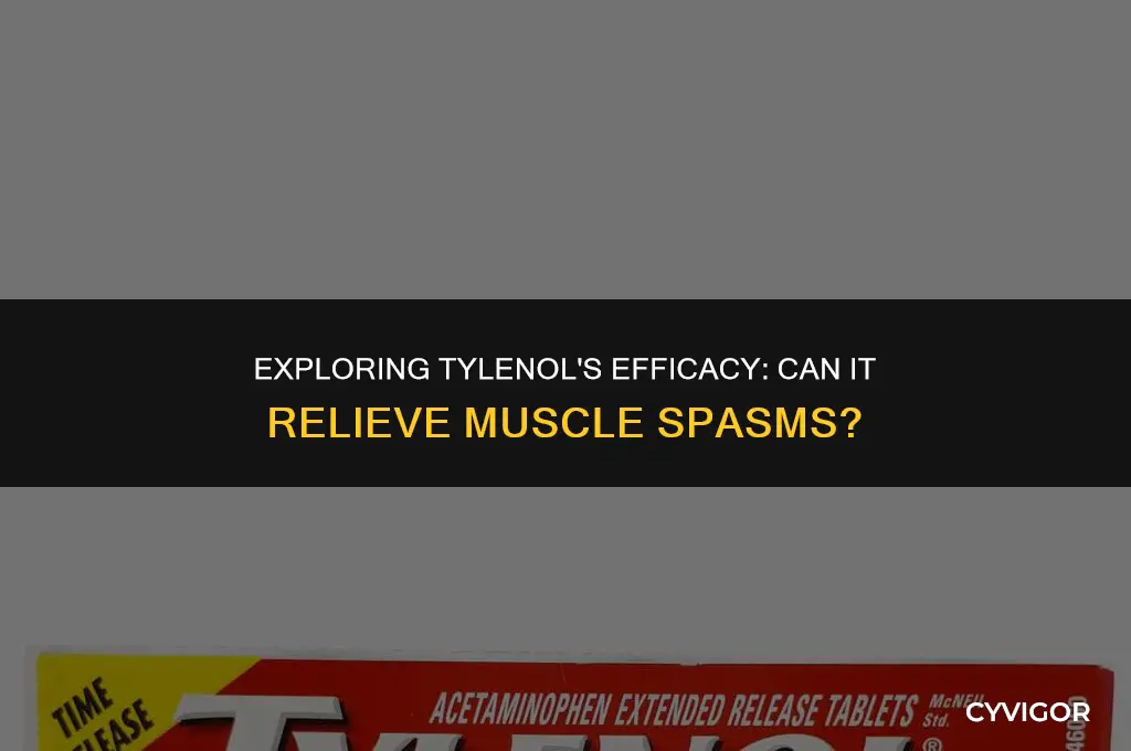 is tylenol good for muscle spasms