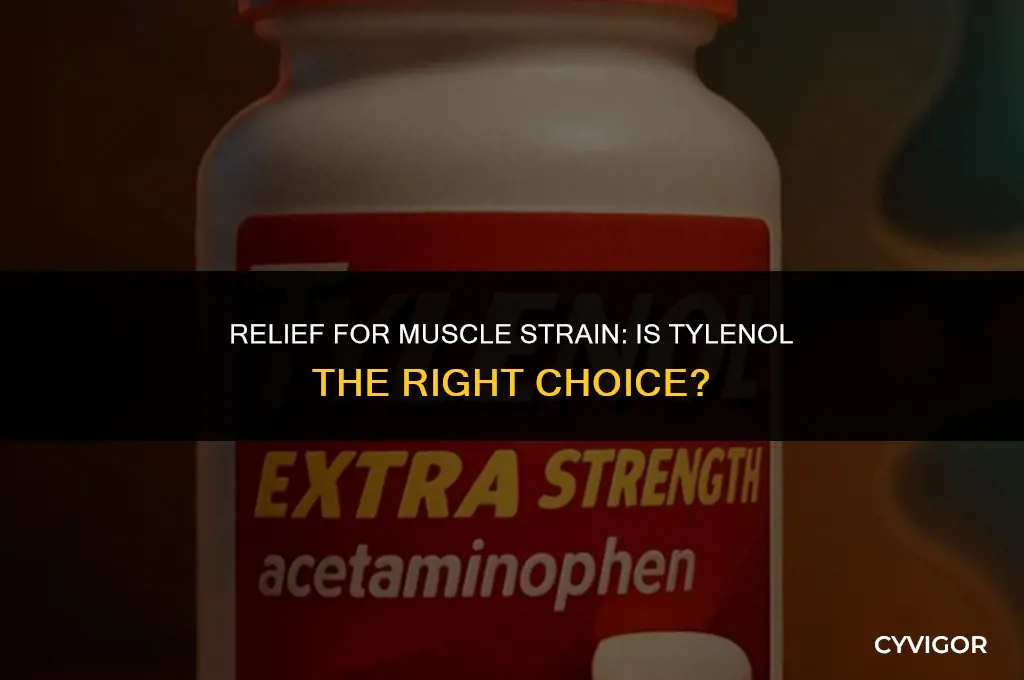 is tylenol good for muscle strain