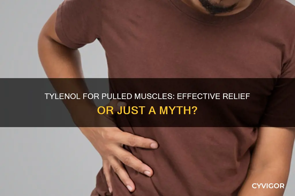 is tylenol good for pulled muscles