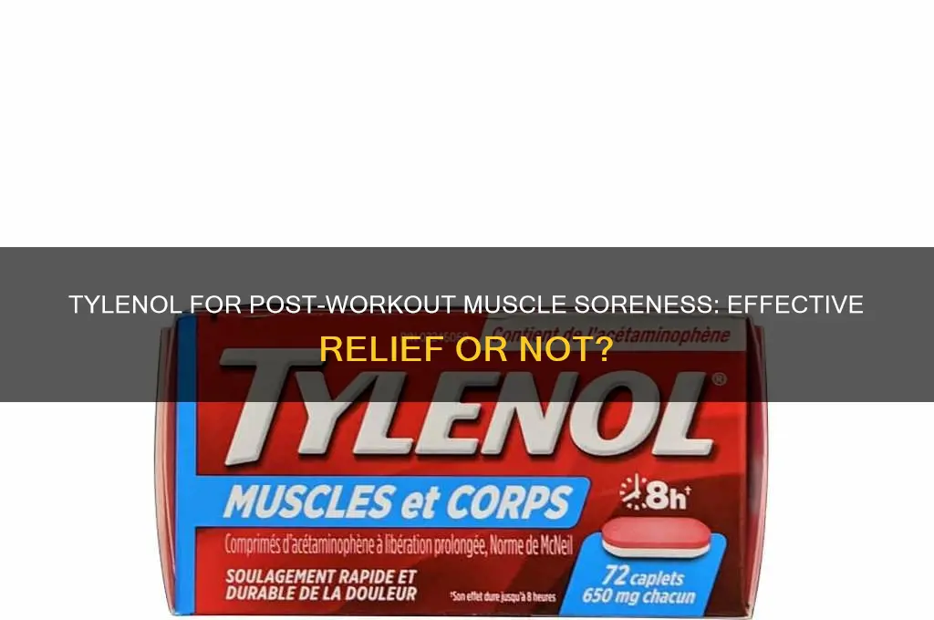 is tylenol good for sore muscles from working out