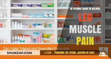 Is Tylenol Effective for Relieving Leg Muscle Pain? Find Out