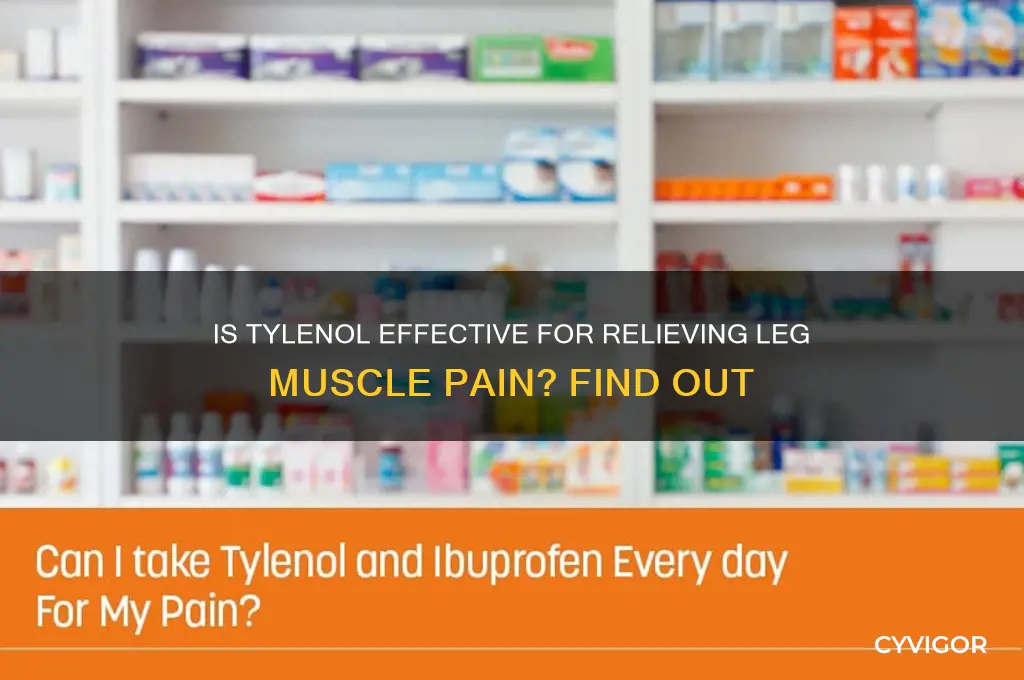 is tylenol good to relieve leg muscle pain