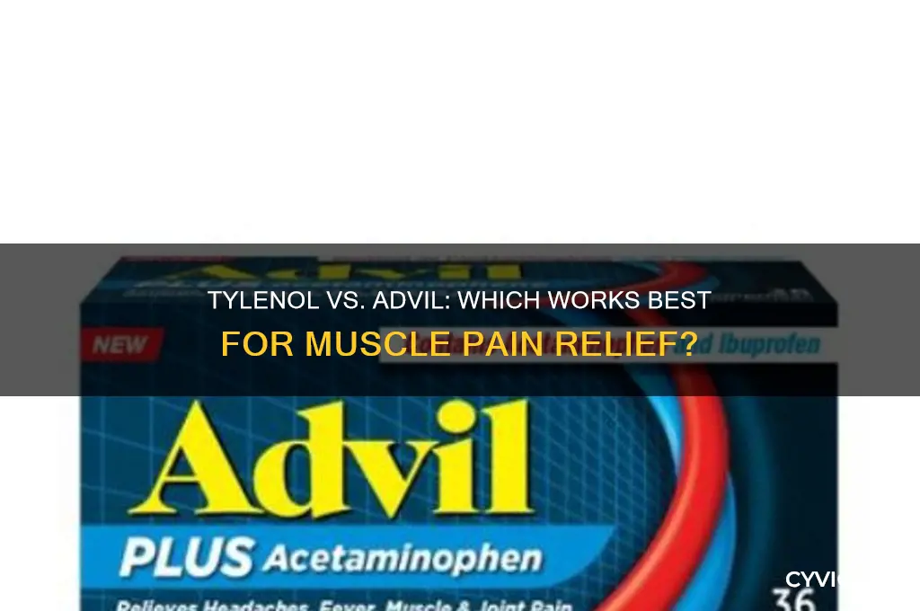 is tylenol or advil better for muscle pain