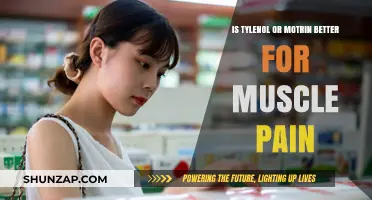 Tylenol vs. Motrin: Which Works Best for Muscle Pain Relief?
