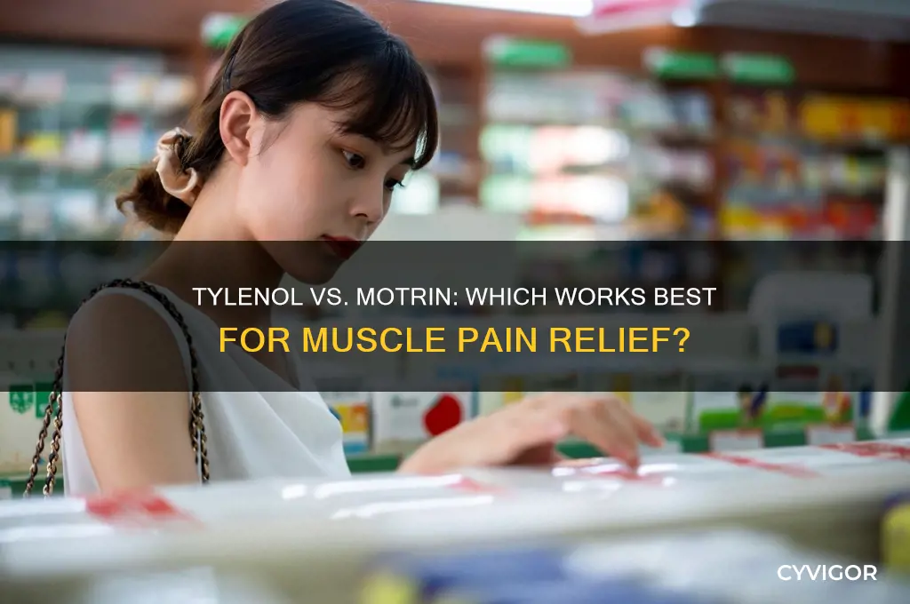 is tylenol or motrin better for muscle pain