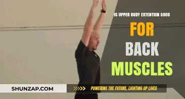 Strengthening Your Back: The Benefits of Upper Body Extensions