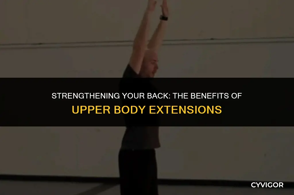 is upper body extention good for back muscles