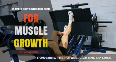 Is Upper Body Lower Body Training Optimal for Muscle Growth?
