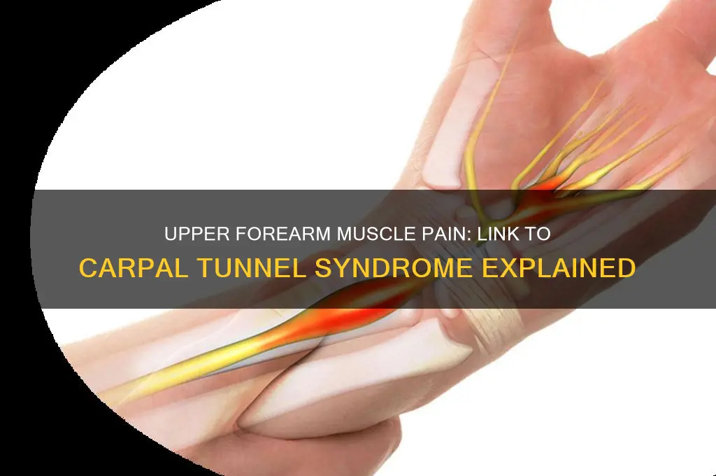 is upper forearm muscle pain associated with carpal tunnel