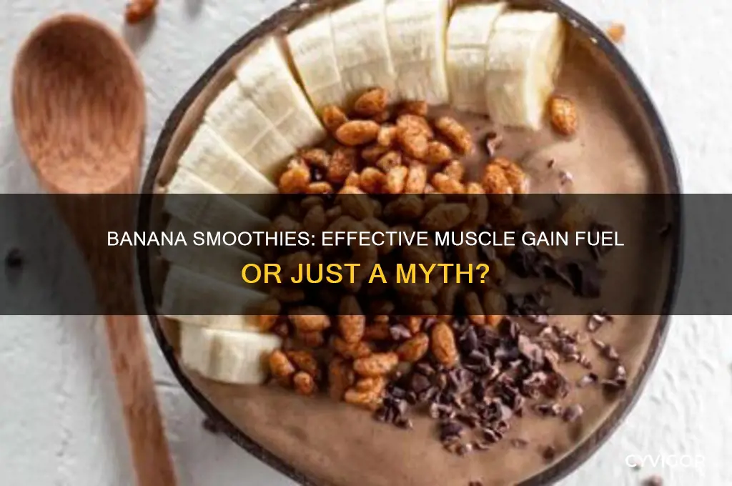 is using banna good for muscle gain in the smoothy