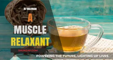 Valerian as a Muscle Relaxant: Fact or Fiction?