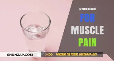 Valium for Muscle Pain: Benefits, Risks, and Alternatives Explained