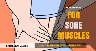 Valium for Muscle Pain: Effective Relief or Risky Choice?