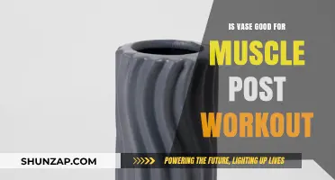 Boost Your Recovery: The Surprising Benefits of Vases for Post-Workout Muscle Care
