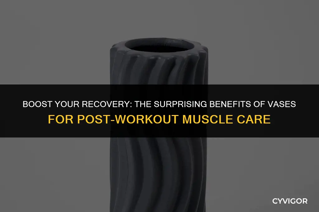 is vase good for muscle post workout