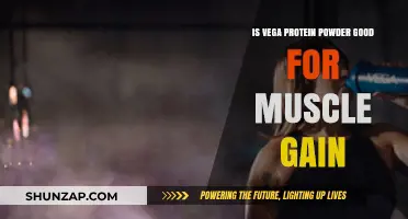Is Vega Protein Powder Effective for Muscle Gain? A Review