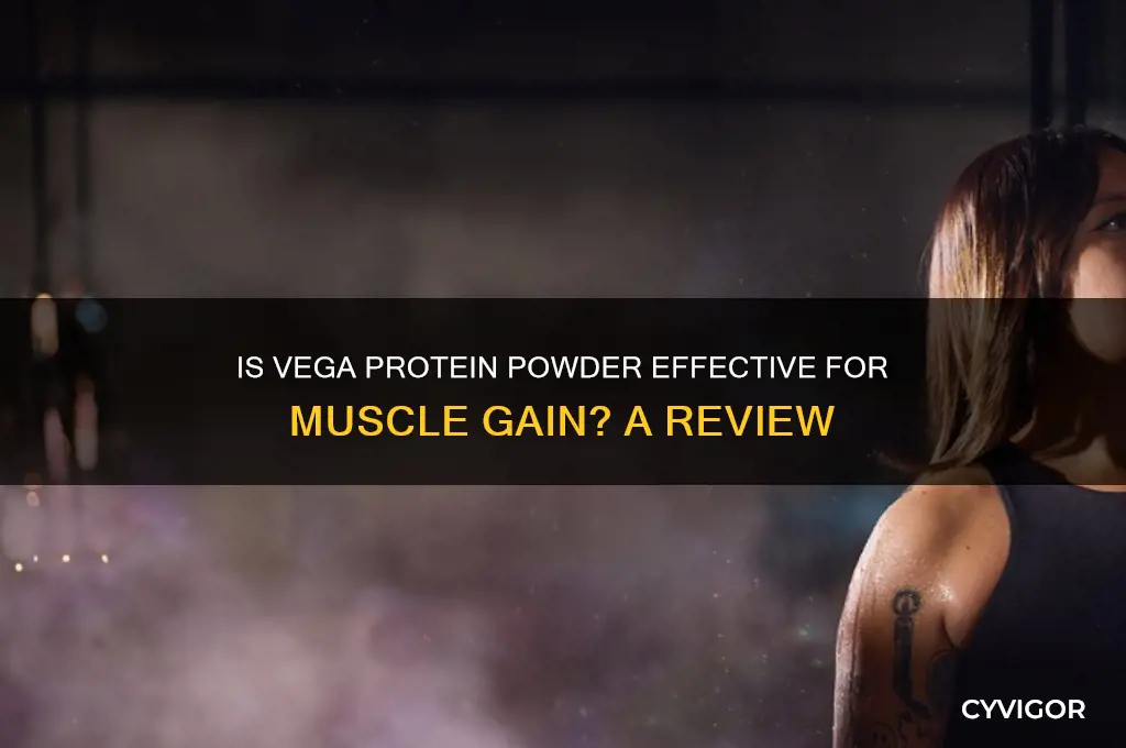 is vega protein powder good for muscle gain