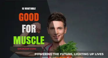 Fuel Your Gains: The Power of Vegetables in Muscle Building