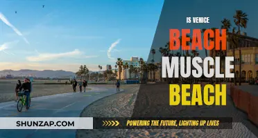 Muscle Beach and Venice Beach: Same or Different?