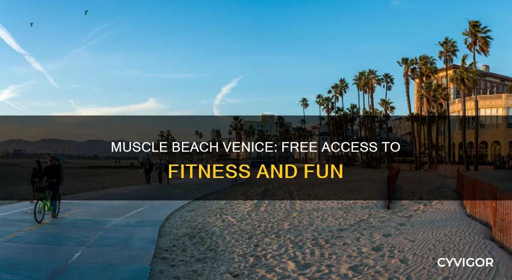 is venice muscle beach free