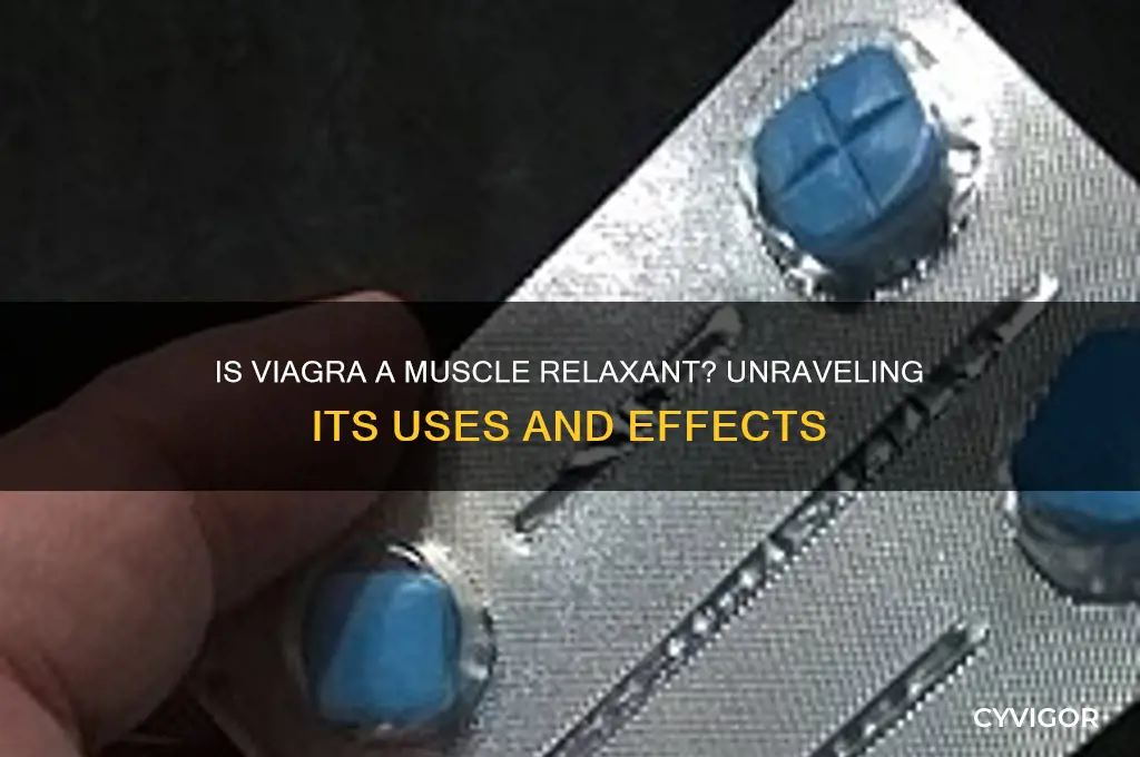 is viagra a muscle relaxant