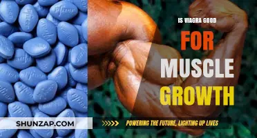 Exploring Viagra's Potential Role in Muscle Growth: Facts and Myths