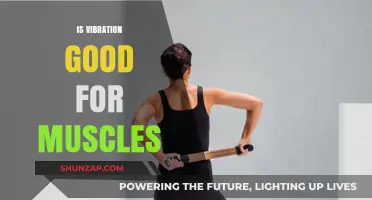 Revving Up Muscle Recovery: The Power of Vibration Therapy