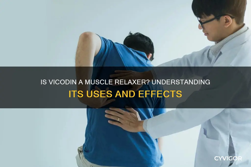 is vicodin considered a muscle relaxer