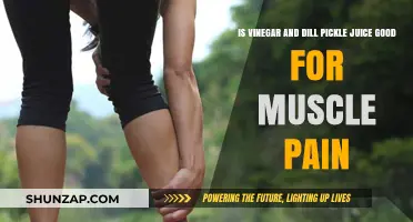 Vinegar and Dill Pickle Juice: Natural Remedies for Muscle Pain?