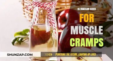 Vinegar for Muscle Cramps: Effective Remedy or Myth?