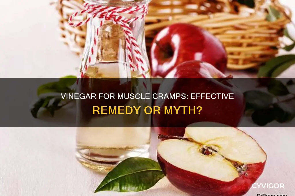 is vinegar good for muscle cramps