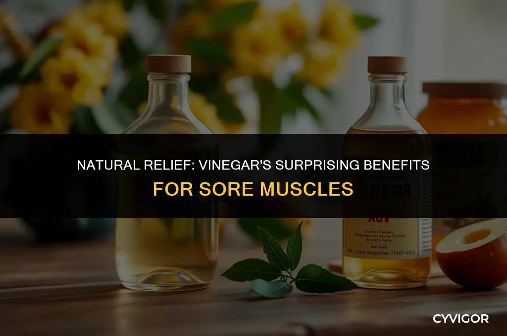 is vinegar good for sore muscles