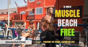 Muscle Beach Workouts: Free to Flex at Venice Beach