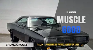 Revving Up Nostalgia: The Timeless Appeal of Vintage Muscle Cars