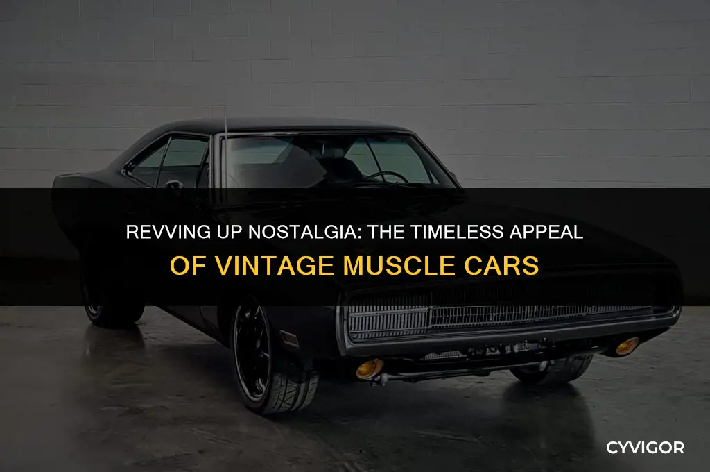 is vintage muscle good