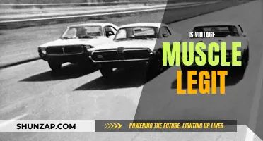 Vintage Muscle: Legit or a Scam?