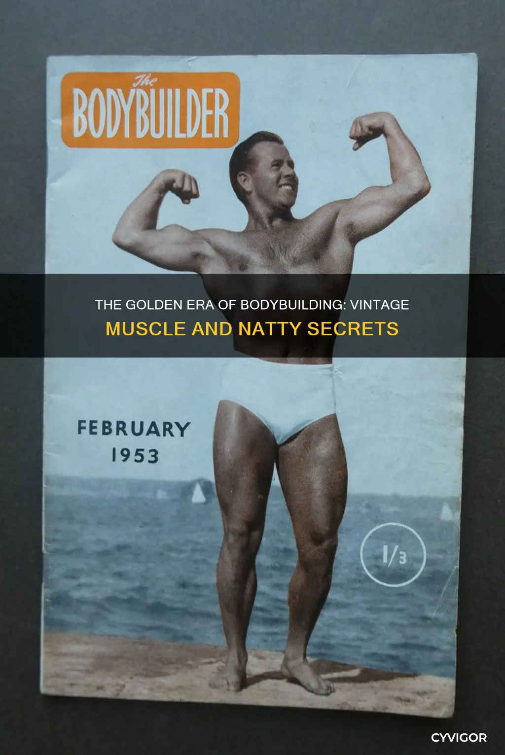 is vintage muscle natty