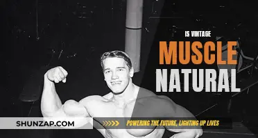 Muscle Memory: Vintage Training for Natural Results