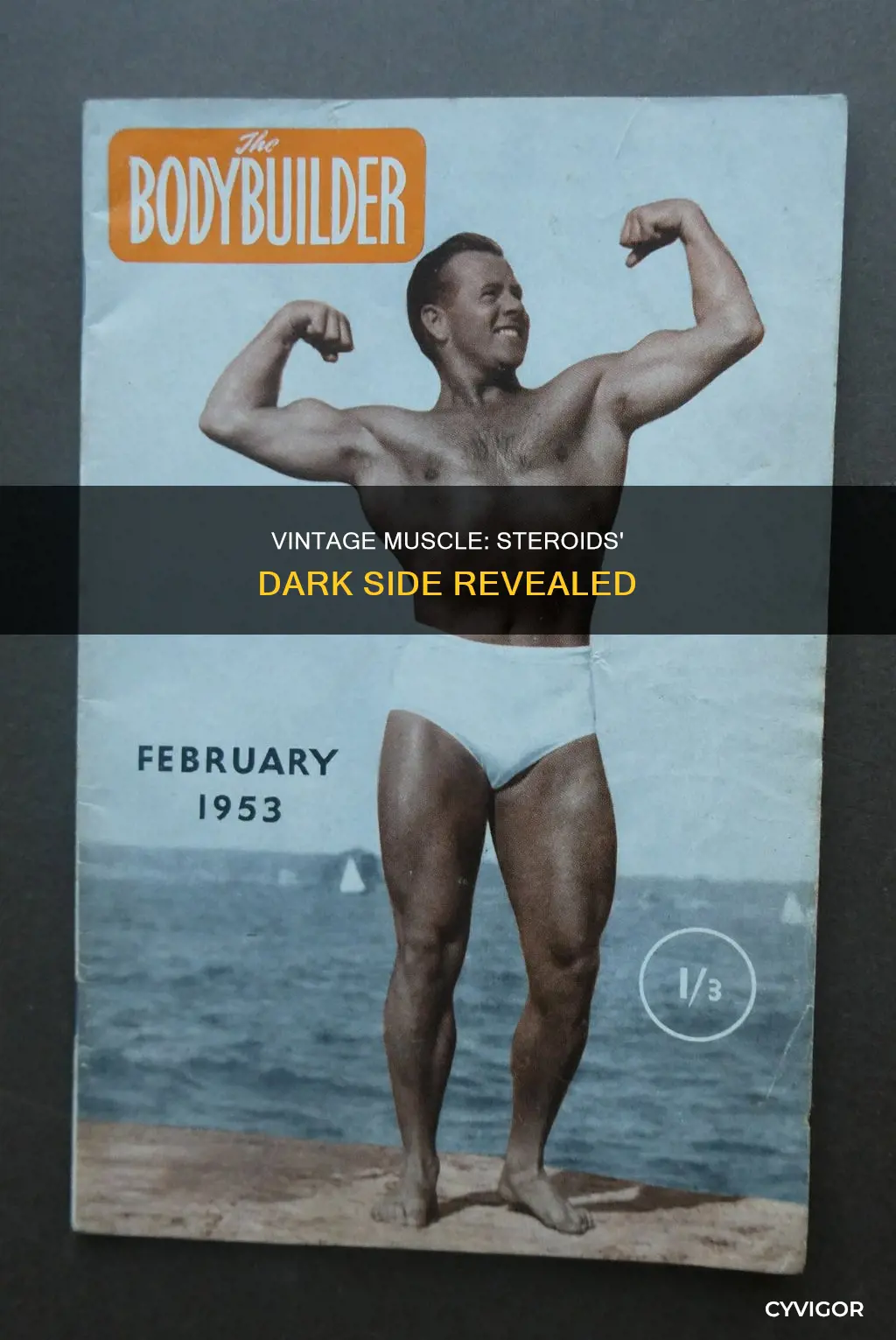 is vintage muscle steroids