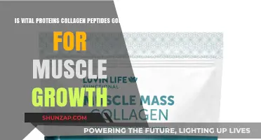 Unlocking Muscle Growth: The Benefits of Vital Proteins Collagen Peptides