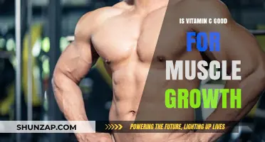 Vitamin C and Muscle Growth: Unlocking Strength and Recovery Benefits