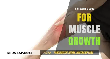 Unlocking Muscle Growth: The Surprising Role of Vitamin D