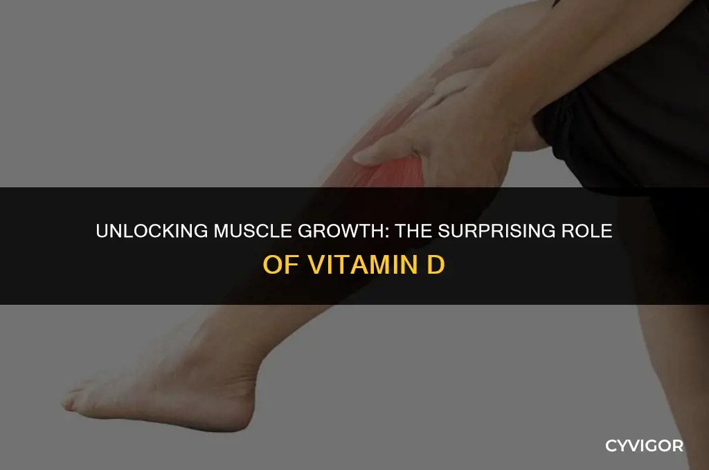is vitamin d good for muscle growth