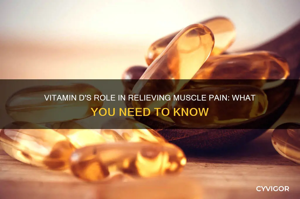 is vitamin d good for muscle pain