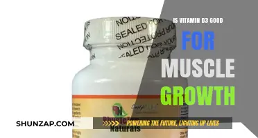 Unlocking Muscle Growth Potential: The Role of Vitamin D3
