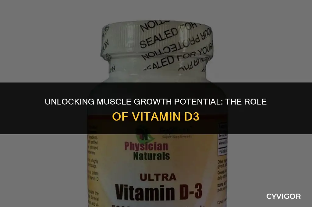 is vitamin d3 good for muscle growth
